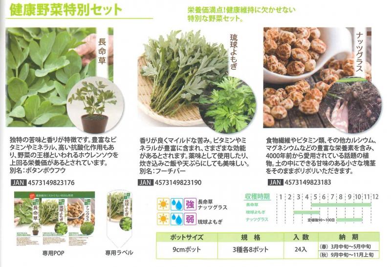 【産直】健康野菜特別セット　3号24入り