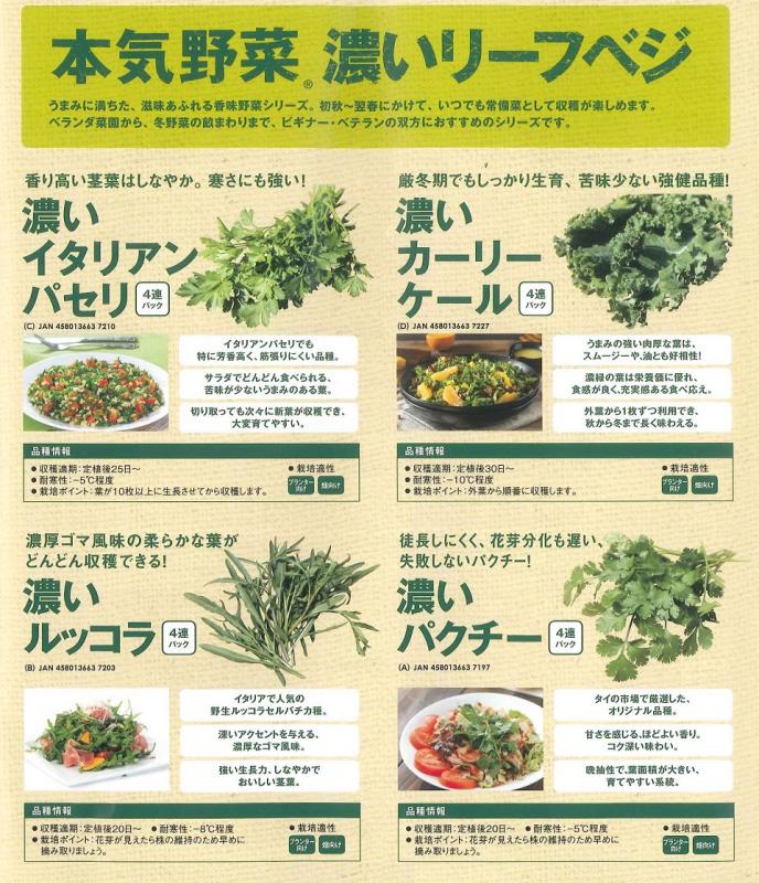 【産直】本気野菜　濃いリーフベジ　2号4連48パックセット