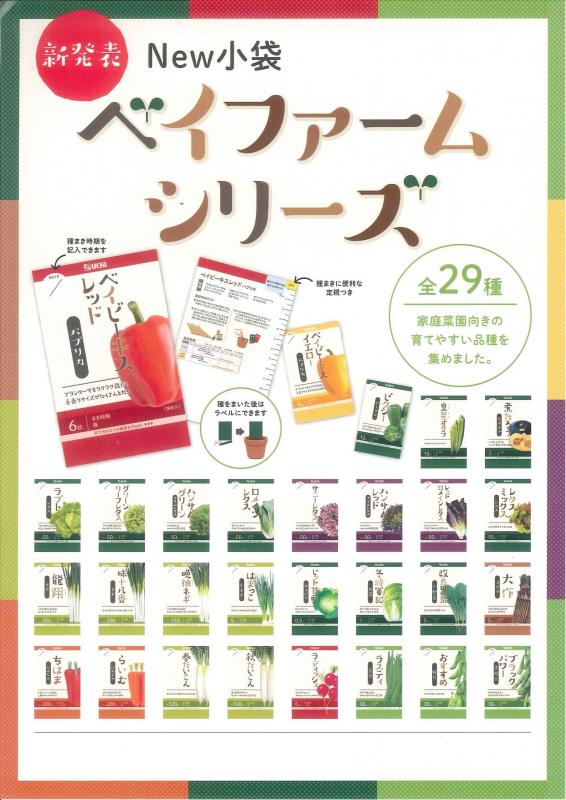 【先行予約・産直】ベイファームシリーズ　20袋入(全29種より選べる品種)