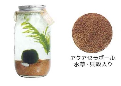 【産直】マリモボトル　デカマリモボトル　茶　6入