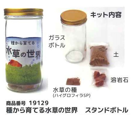 【産直】ガラスボトル容器キット　種から育てる水草の世界　スタンドボトル　8入