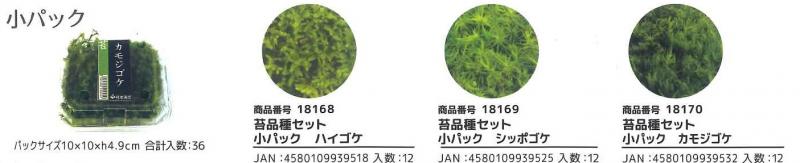 【産直】苔パック　生タイプ　苔品種セット　小パック　36入り