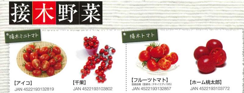 【産直】接木野菜　トマト　3号48ポットセット