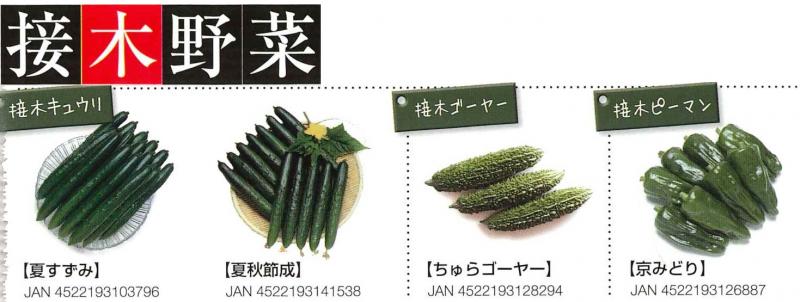 【産直】接木野菜　キュウリ・ゴーヤ・ピーマン　3号48ポットセット
