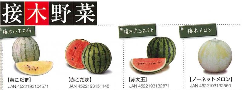 【産直】接木野菜　小玉スイカ・大玉スイカ・メロン　3号48ポットセット