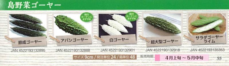 【産直】島野菜ゴーヤー　3号48ポットセット