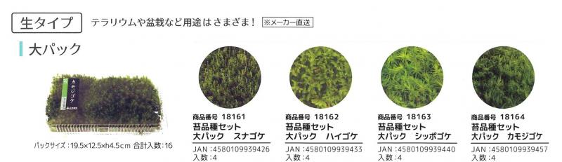 【産直】苔パック　生タイプ　苔品種セット　大パック　16入