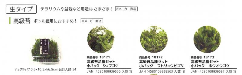 【産直】苔パック　生タイプ　高級苔品種セット　小パック　24入