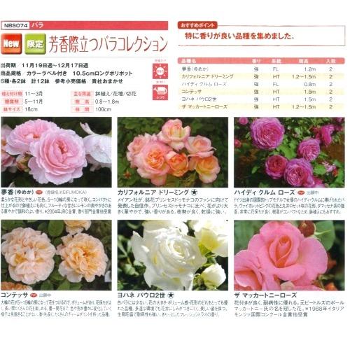【産直】京成バラ園芸　芳香際立つバラコレクション　3.5号12鉢セット