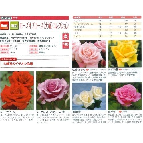 【産直】京成バラ園芸　ローズオブローズ(大輪)コレクション　3.5号12鉢セット