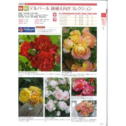 【産直】デルバール　鉢植え向きコレクション　3.5号12鉢セット