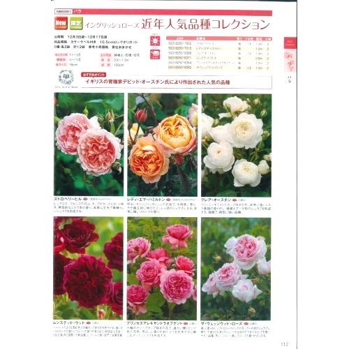 【産直】イングリッシュローズ　近年人気品種コレクション　3.5号12鉢セット