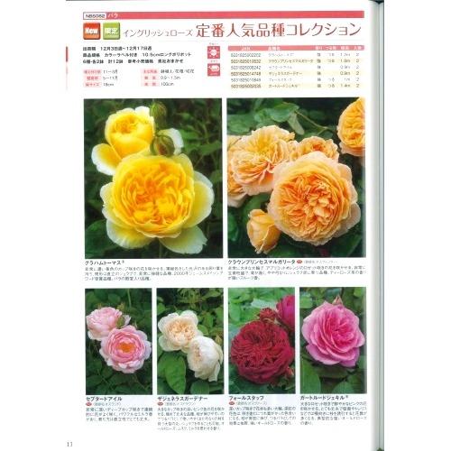 【産直】イングリッシュローズ　定番人気品種コレクション　3.5号12鉢セット