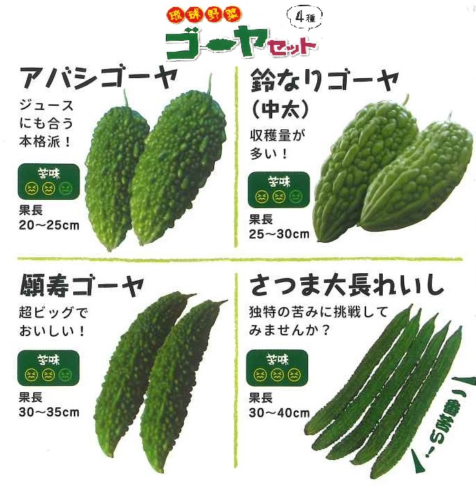 【産直】琉球野菜ゴーヤセット　3号28入り