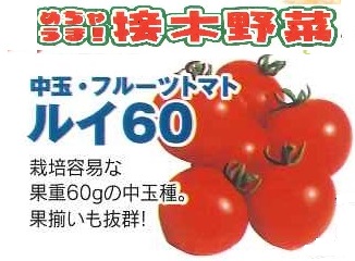 【産直】めちゃうま接木野菜　フルーツトマトルイ60　3.5号24入り