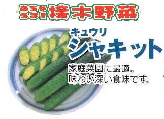 【産直】めちゃうま接木野菜　キュウリ　シャキット　3.5号24入り